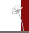 logo birgit salomo